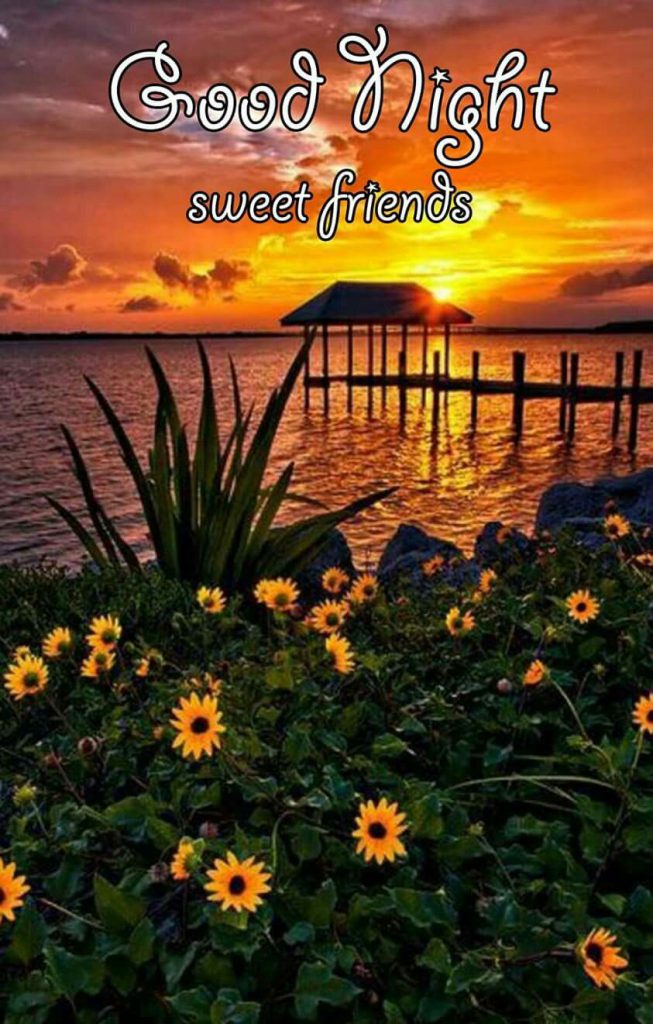 Coole sprüche gute nacht Bilder und Sprüche für Whatsapp und Facebook