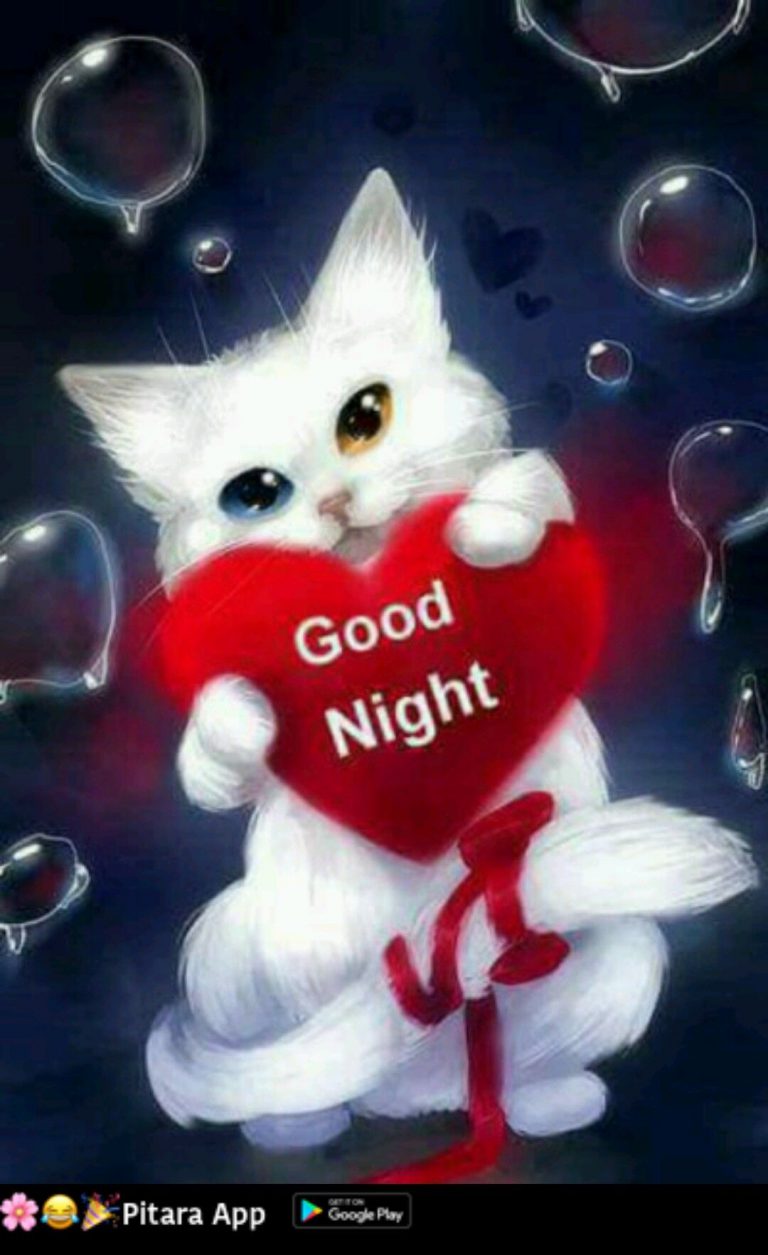 Gute nacht und