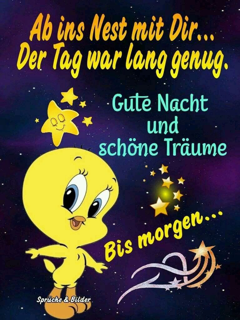 Gute nacht witze bilder