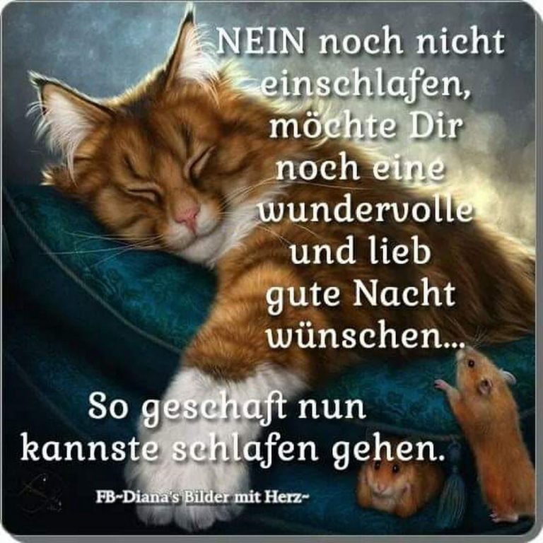Gute nacht worte