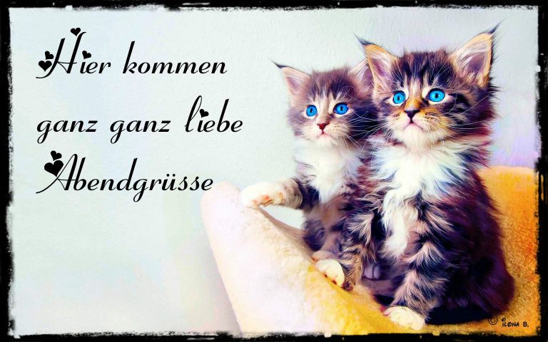 Guten abend gute nacht download