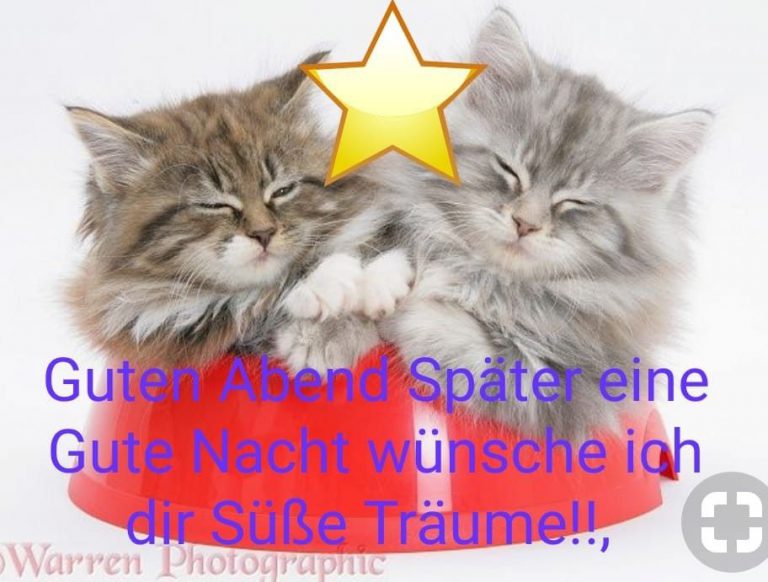 Guten abend und gute nacht
