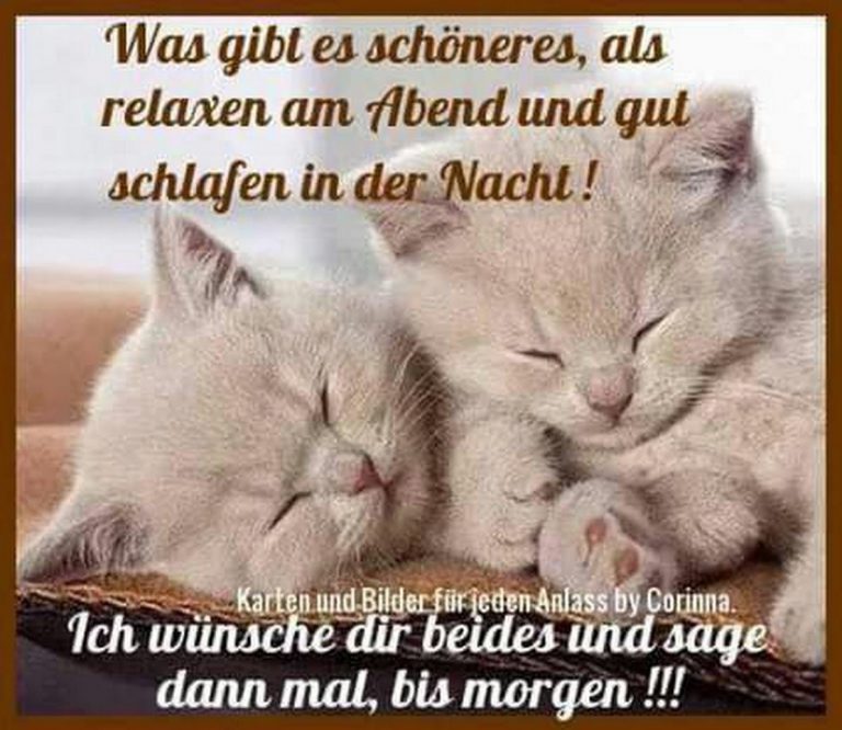 Kindergeschichten gute nacht