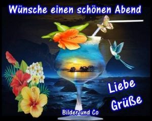 Kurze nacht geschichte