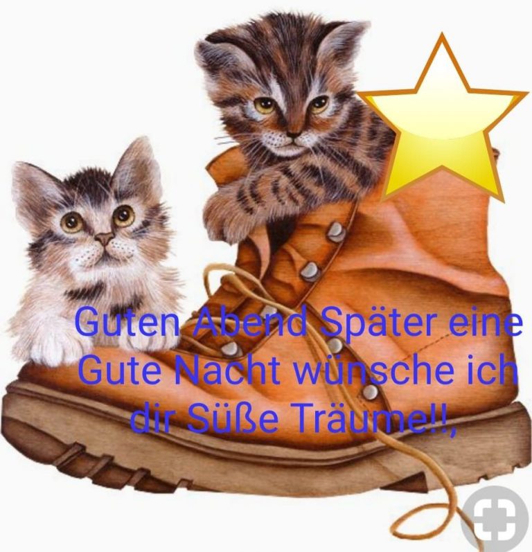 Lange gute nacht geschichte