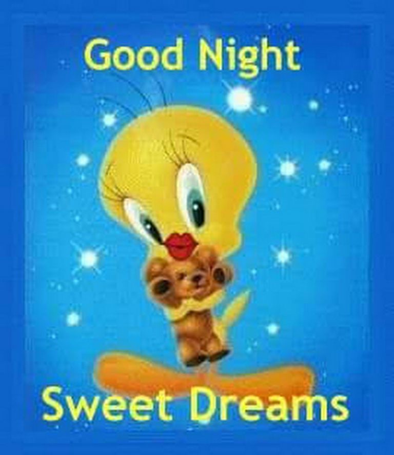 Liebes sms gute nacht