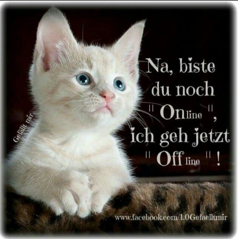 Liebevolle gute nacht grüße