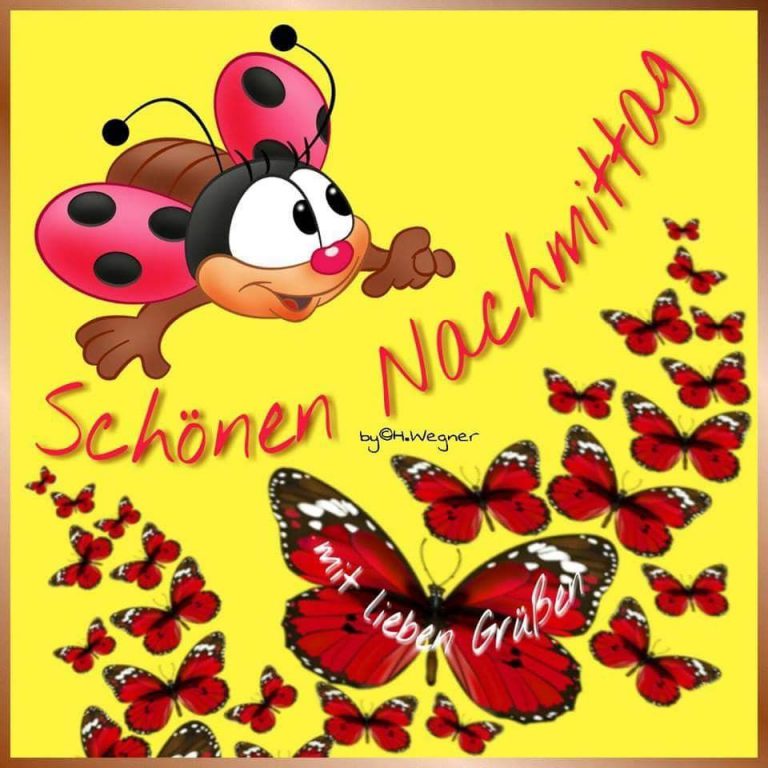 Lustige Freitagsgrüße Nachmittags