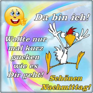 Schönen Nachmittag Elli Schramm Animierte Gif Bilder und Sprüche