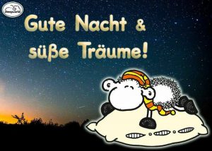 Lustige bilder nacht