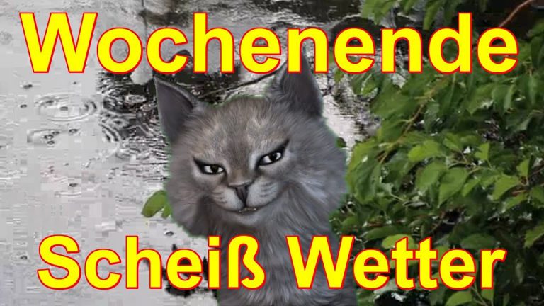 Ab ins Wochenende: Lustige Bilder zum Ausmalen!