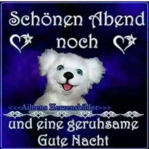 Lustige gute nacht bilder für whatsapp