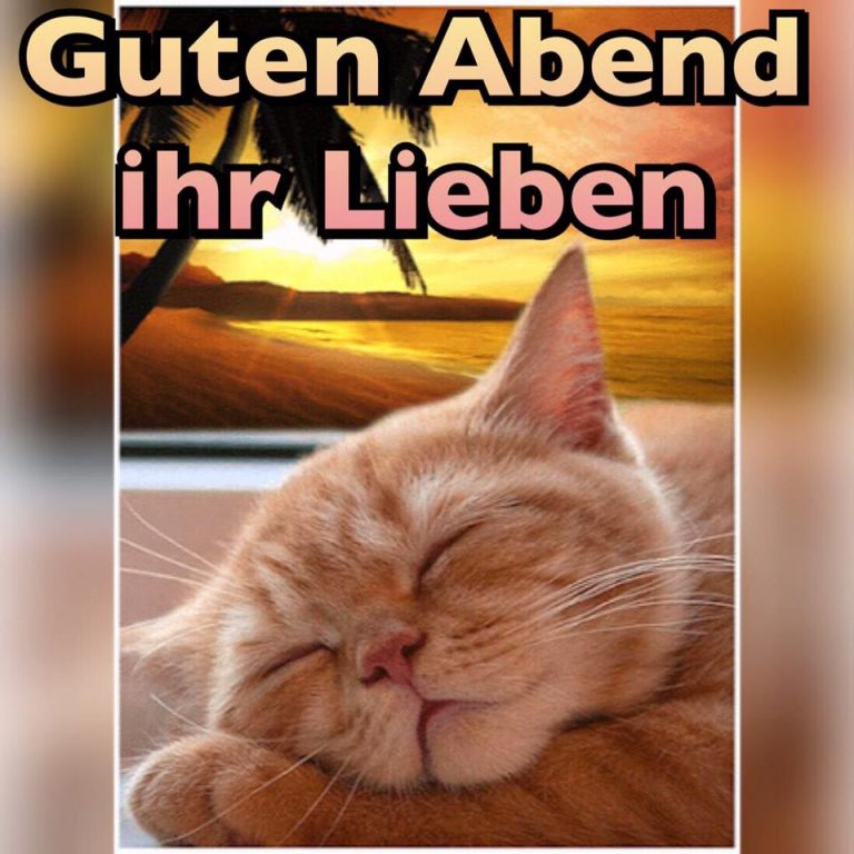 Lustige gute nacht sprüche für whatsapp Bilder und Sprüche