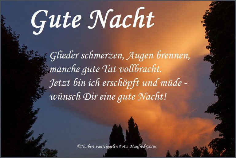 Lustige gute nacht sprüche bilder