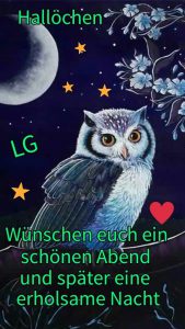 Lustige gute nacht videos