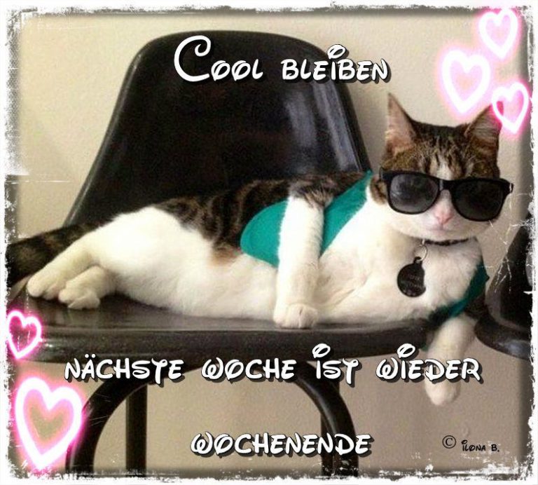 Lustige wochenendgrüße Bilder und Sprüche