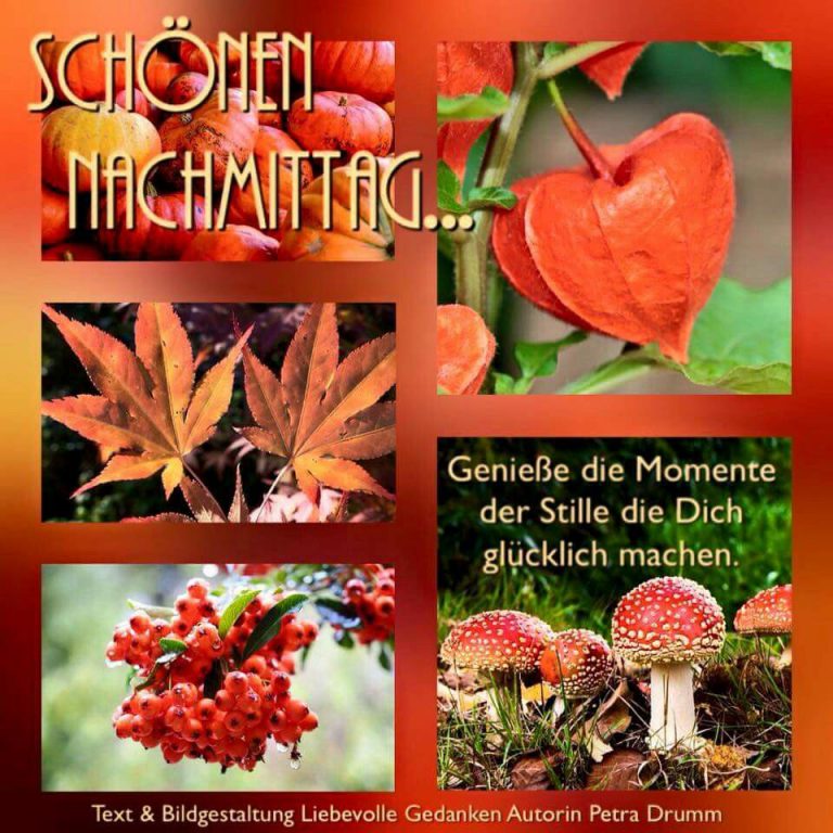 Montag Bilder Lustig Nachmittags