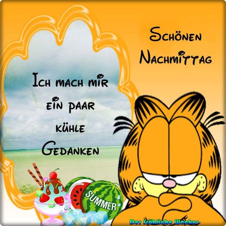Pferdebilder Lustig Nachmittags