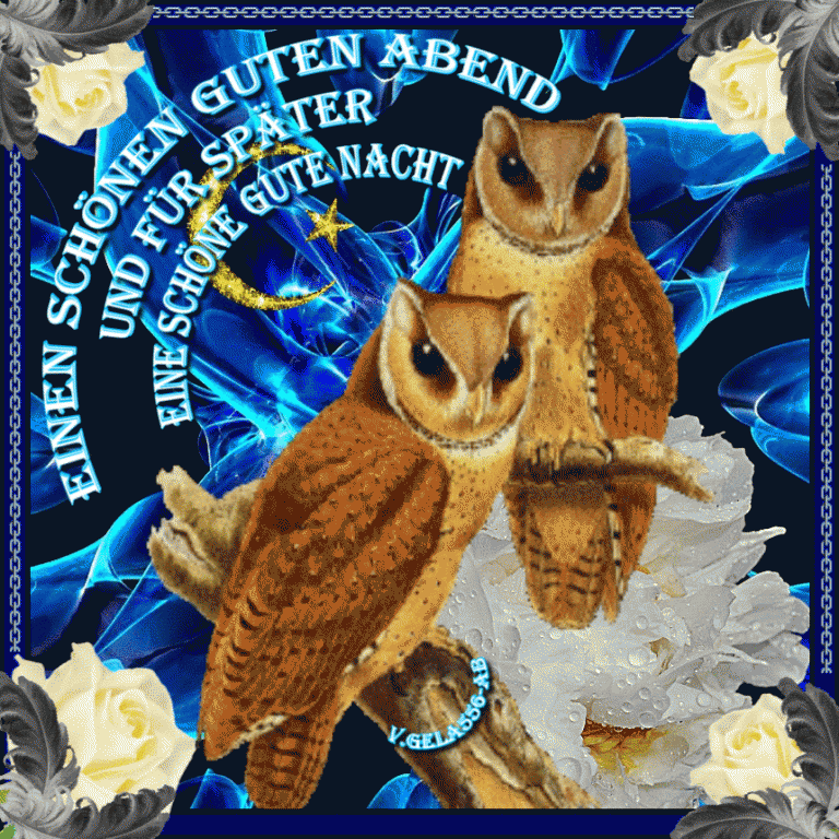 Schöne gute nacht geschichten Animierte Gif