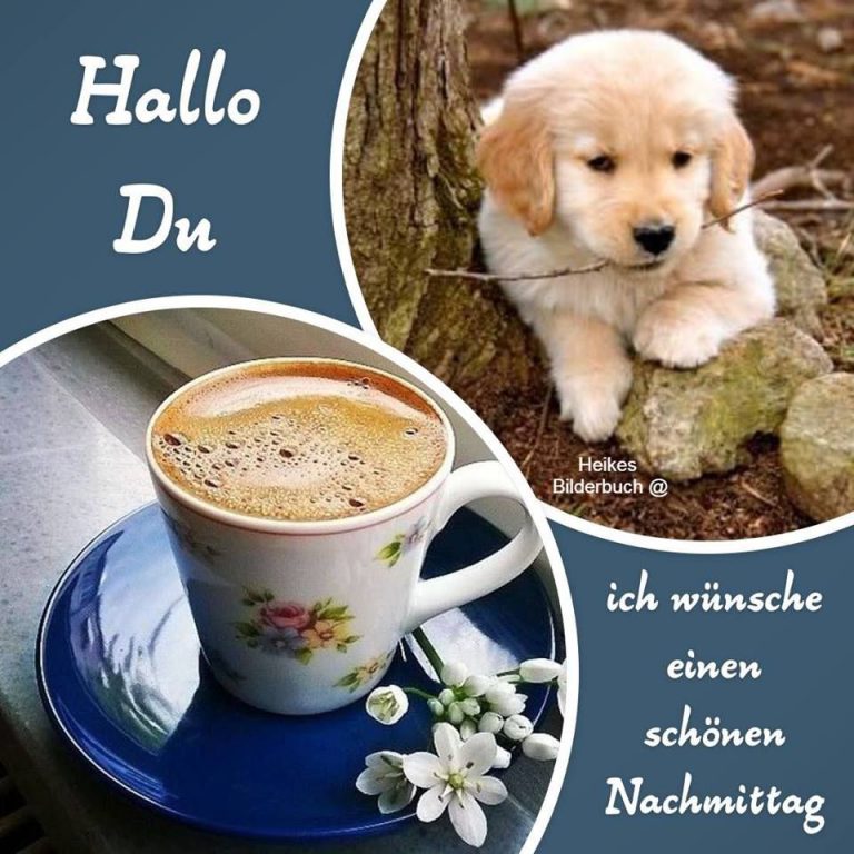 Schönen Auf Französisch Nachmittags
