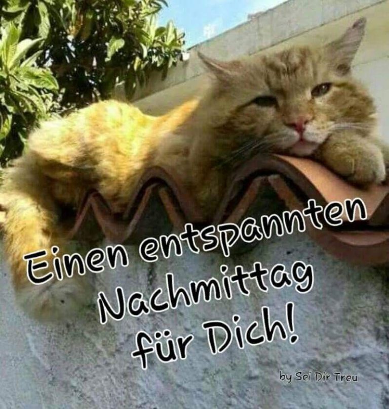 Schönen Bilder Sprüche Nachmittags