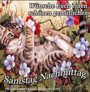 Schönen Englisch Nachmittags