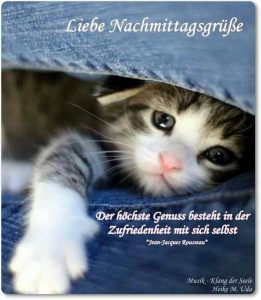 Schönen Grüße Nachmittags