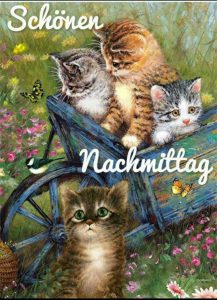 Schönen Heißen Nachmittags