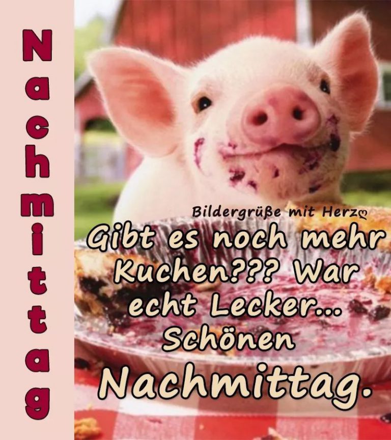 Schönen Nachmittags Bilder Kostenlos Nachmittags