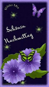 Schönen Sonntag Bilder Gratis Nachmittags