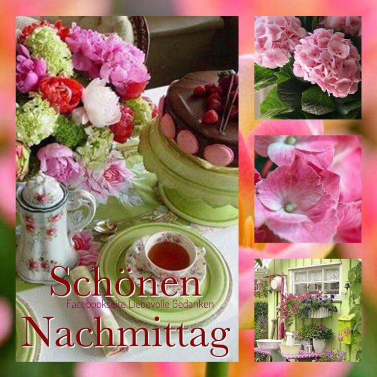 Schönen Sonntag Bilder Nachmittags