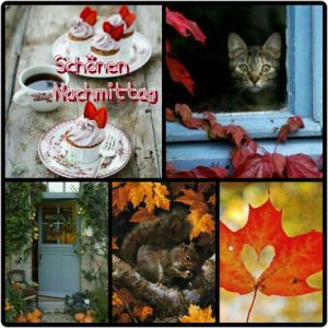 Schönen Sonntag Nachmittags 1