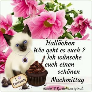 Schönen Tag Sprüche Kostenlos Nachmittags