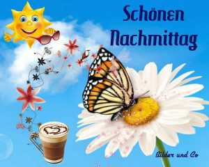 Sexy Bilder Lustig Nachmittags