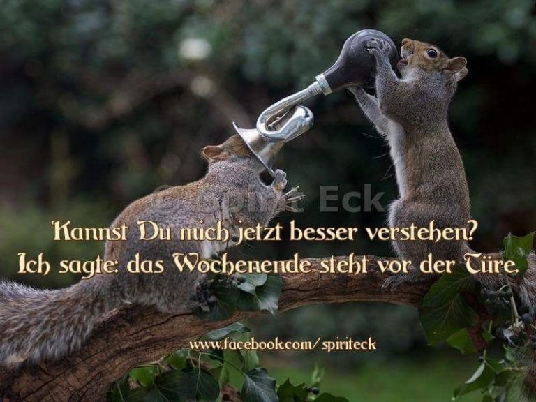 Sonniges wochenende bilder