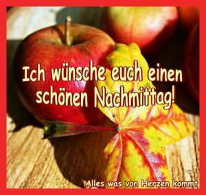 Sonntag Bilder Lustig Nachmittags