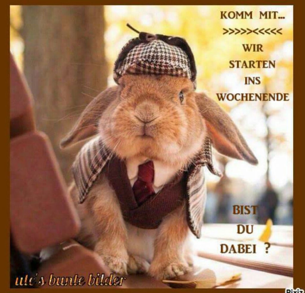 Witzige bilder wochenende Bilder und Sprüche für Whatsapp und