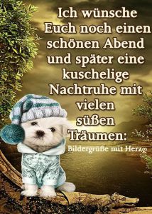 Sprüche zu gute nacht
