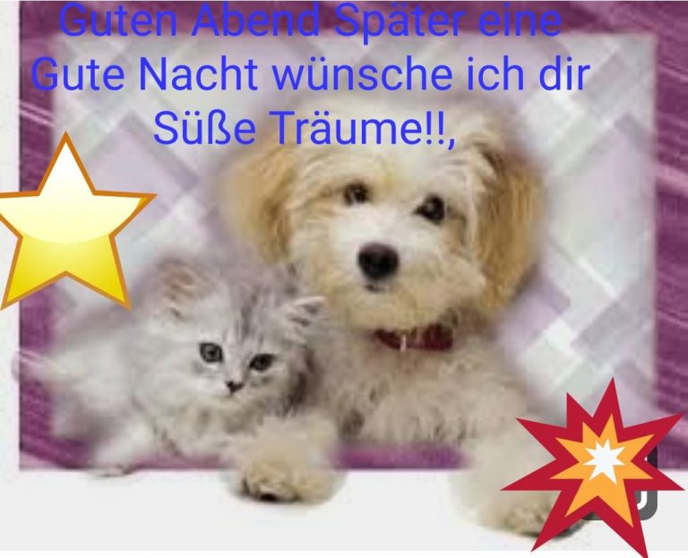 Sprüche zur nacht