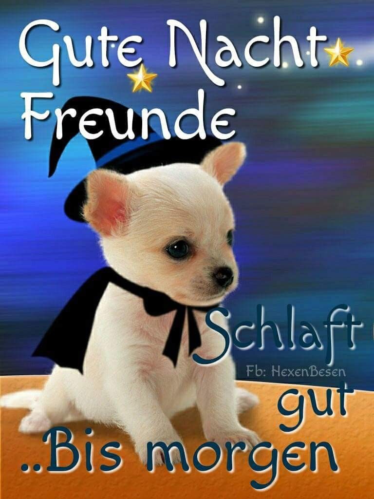 Süße gute nacht sprüche für sie