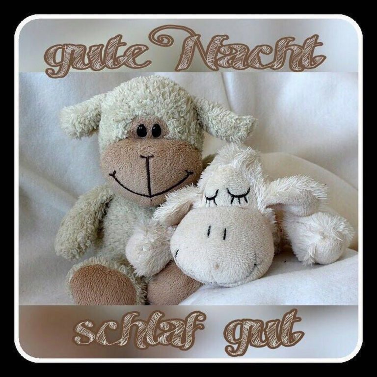 Video gute nacht