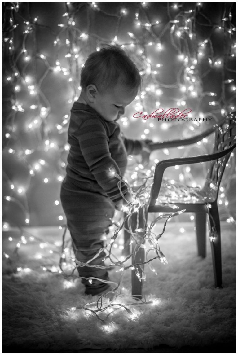 Weihnachtsessen Bilder
