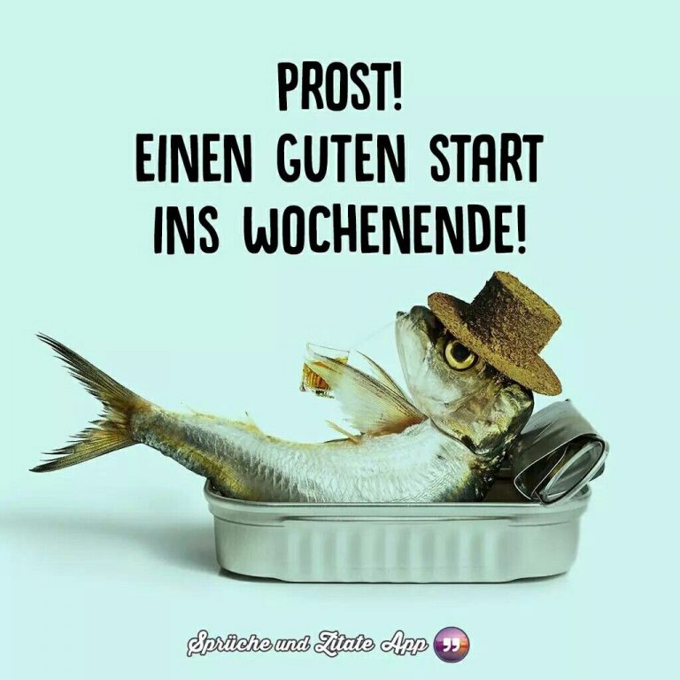 lustige bilder hitzewelle Bilder und Sprüche für Whatsapp und