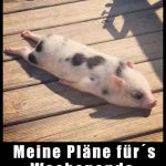 Wochenendgr%C3%BC%C3%9Fe bilder kostenlos 150x150 - Bilder endlich wochenende