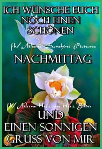 Wochenendgrüße Bilder Nachmittags bilder fürs handy