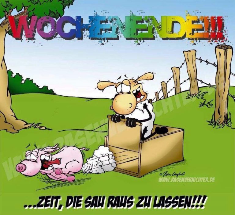 Guten tag bilder lustig kostenlos Bilder und Sprüche für Whatsapp und
