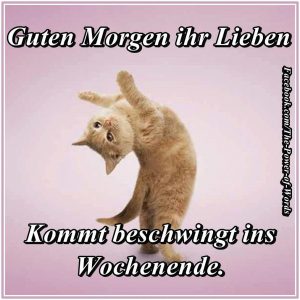 Weekend sprüche Bilder und Sprüche