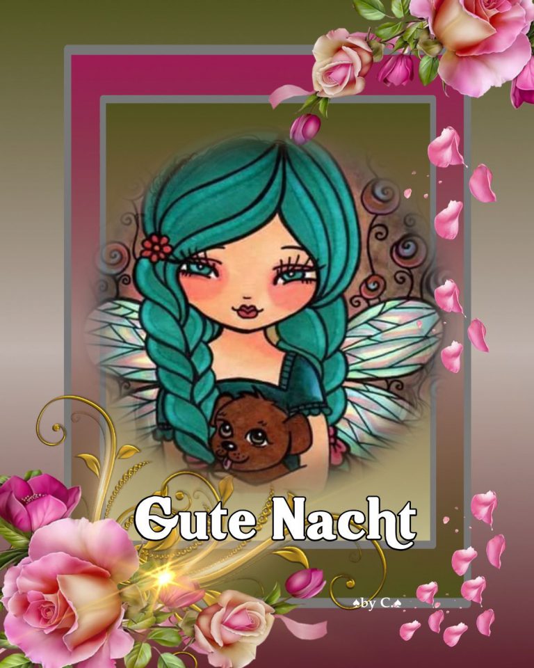 Wundervolle gute nacht sprüche