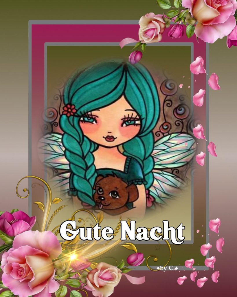 Wundervolle gute nacht sprüche Bilder und Sprüche