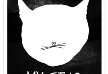 Bild von 100 Cat Pictures Bilder fürs handy